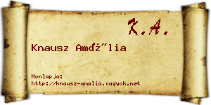 Knausz Amália névjegykártya