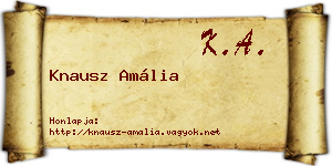 Knausz Amália névjegykártya